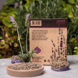Vipartesanias - Comprar Pastilla Lavanda - Envío Gratis 24h