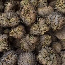 Vipartesanias | Rosa de Jericó | Venta al por Mayor
