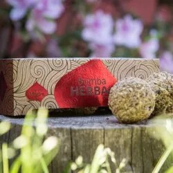 🌱 Vipartesanias - Comprar Bomba Herbal - Envío Gratis 24h🌞