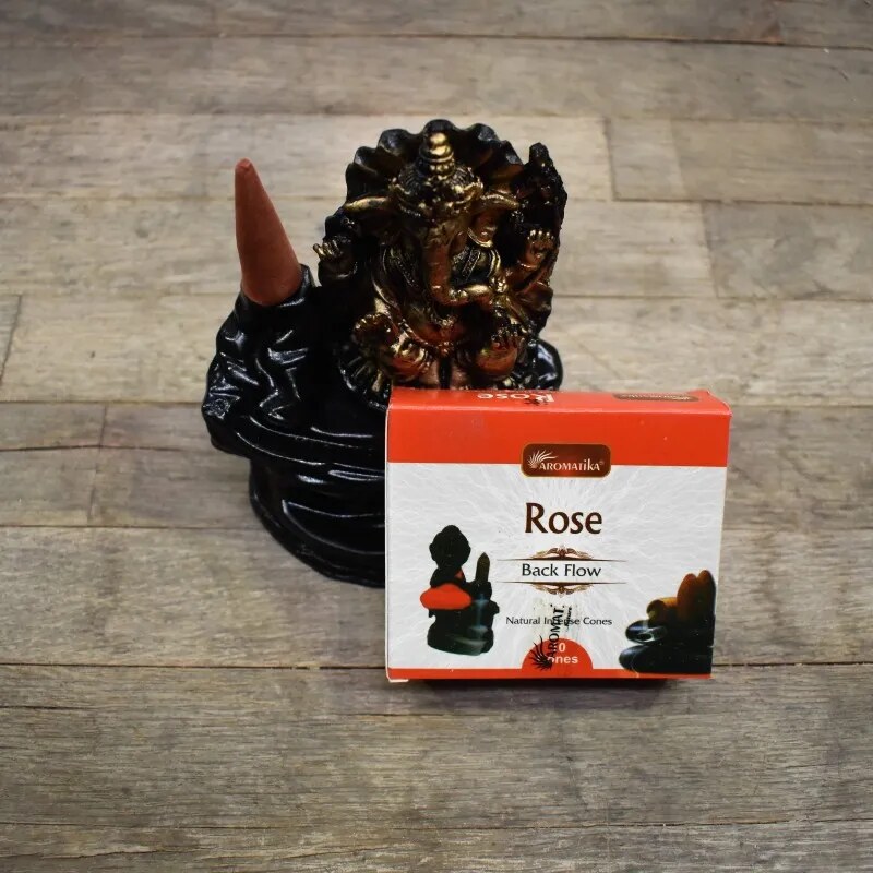 🌱 Vipartesanias - Comprar Conos Reflujo Rosas - Envío Gratis 24h 🌞