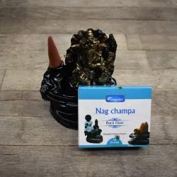 🌱 Vipartesanias - Comprar Conos Reflujo Champa - Envío Gratis 24h 🌞