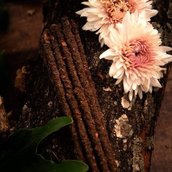 🌱 VIPARTESANIAS - Sagrada Madre Botánico - Envío Gratis 24H 🌞