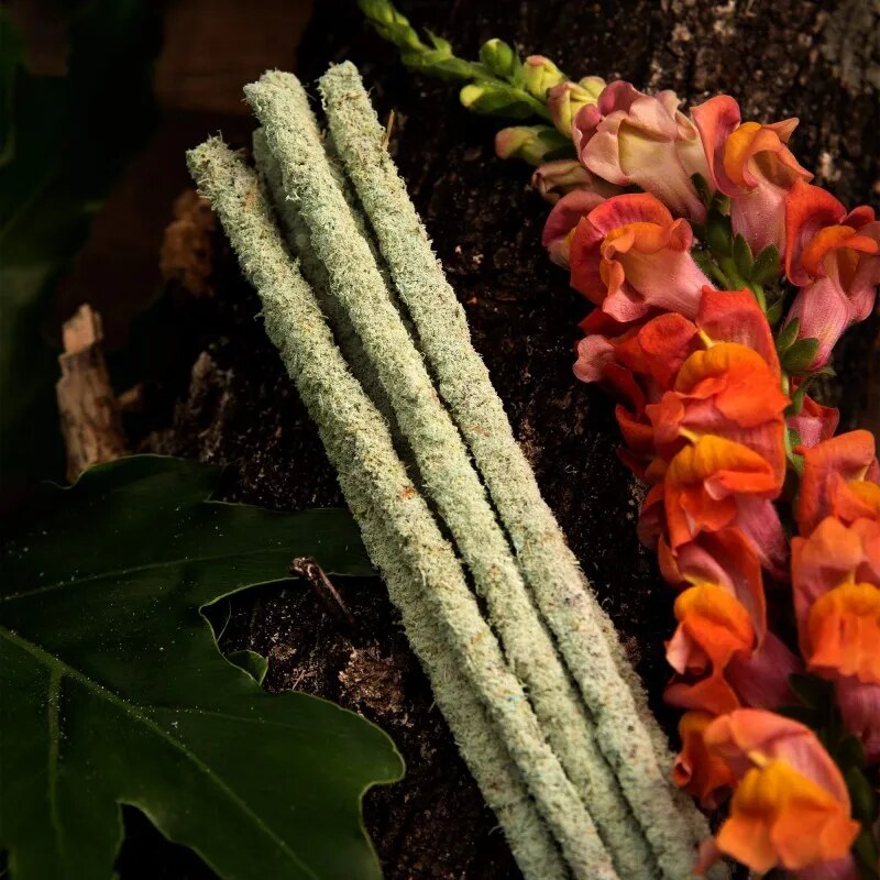 🌱 Vipartesanias - Comprar Incienso Sagrada Madre - Envío Gratis 24h🌞