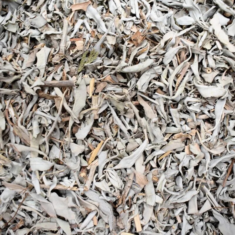 🌱 Vipartesanias - Comprar Hojas de Salvia Blanca - Envío Gratis 24h🌞