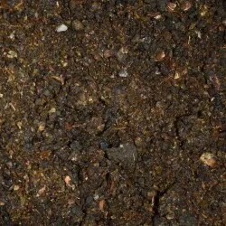 🌱 Vipartesanias - Comprar Resina Guggul Puro - Envío Gratis 24h 🌞