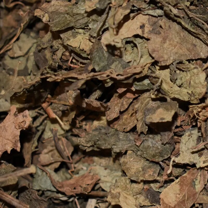 🌱 Vipartesanias - Comprar Resina Patchouli - Envío Gratis 24h 🌞