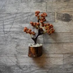🌱 Vipartesanias - Comprar Arbolito Rudraksh - Envío Gratis 24h 🌞