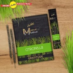 Vipartesanias - Comprar Incienso Manifest Online - Envío Gratis 24h