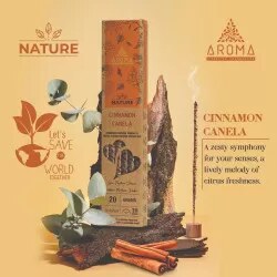 Vipartesanias - Incienso Nature Canela Aroma - Envío gratis 24h