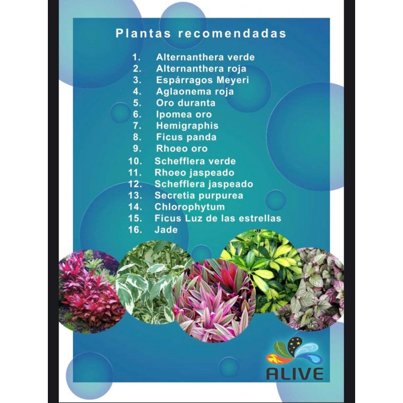 Alive Jardin Vertical