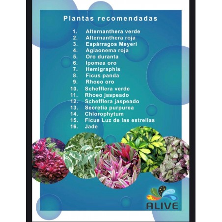 Alive Jardin Vertical